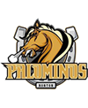 Nanton Palaminos logo